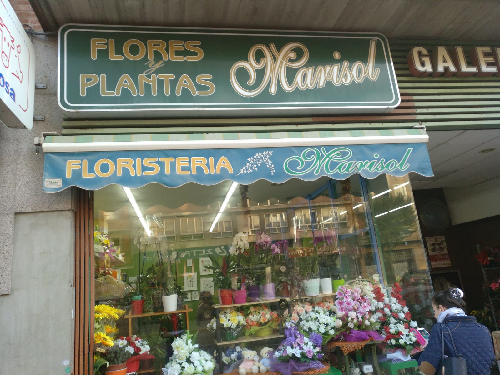 Flores Y Plantas Marisol